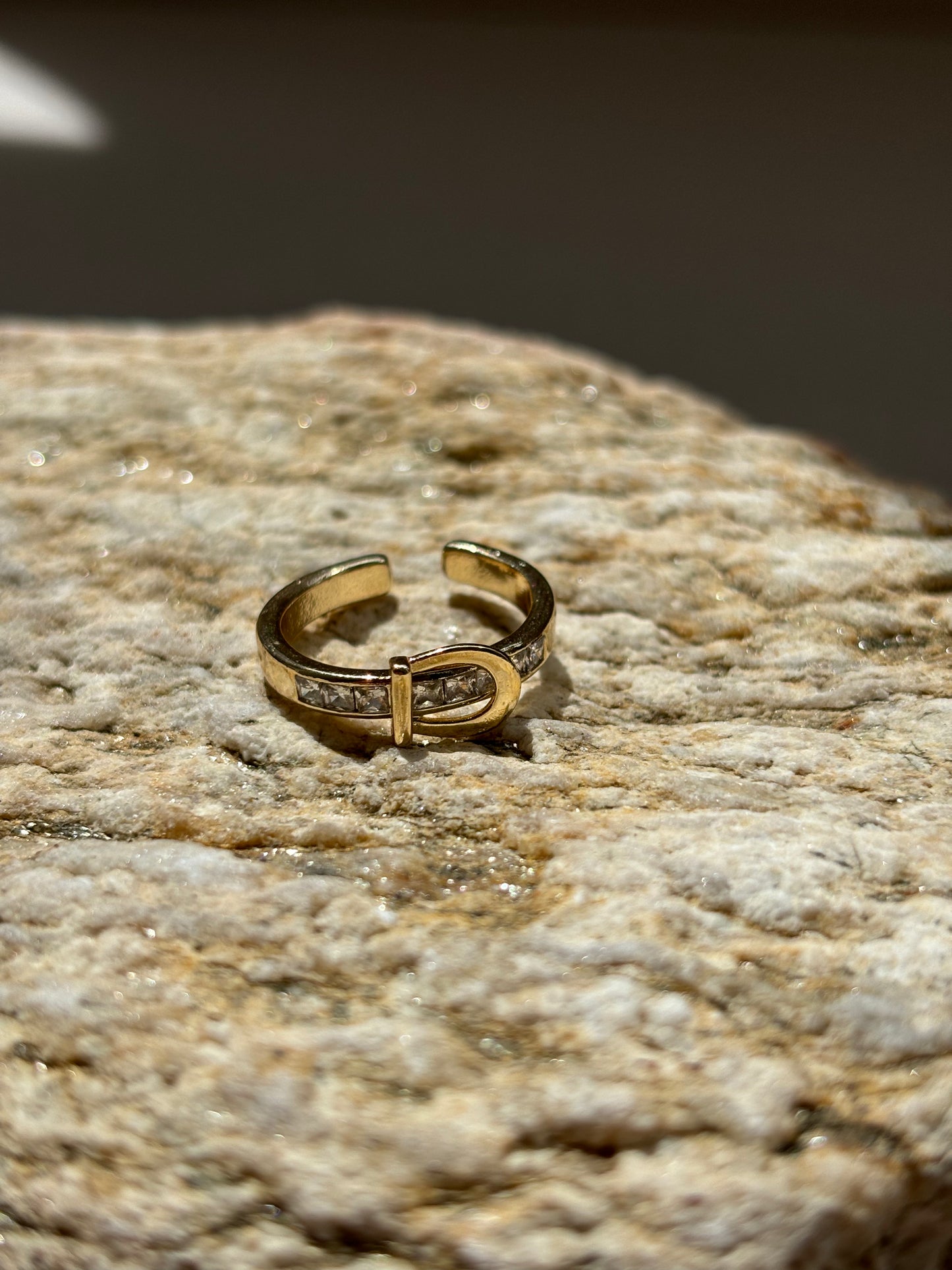 Anillos Variados