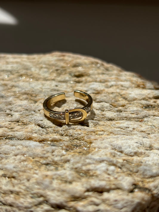 Anillos Variados