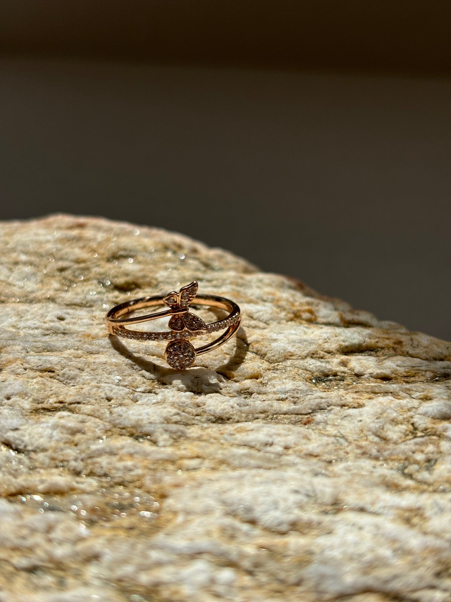 Anillos Variados