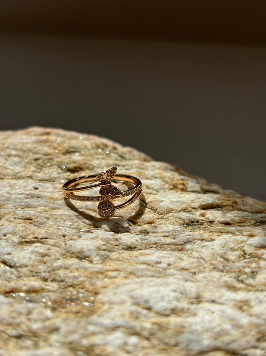 Anillos Variados