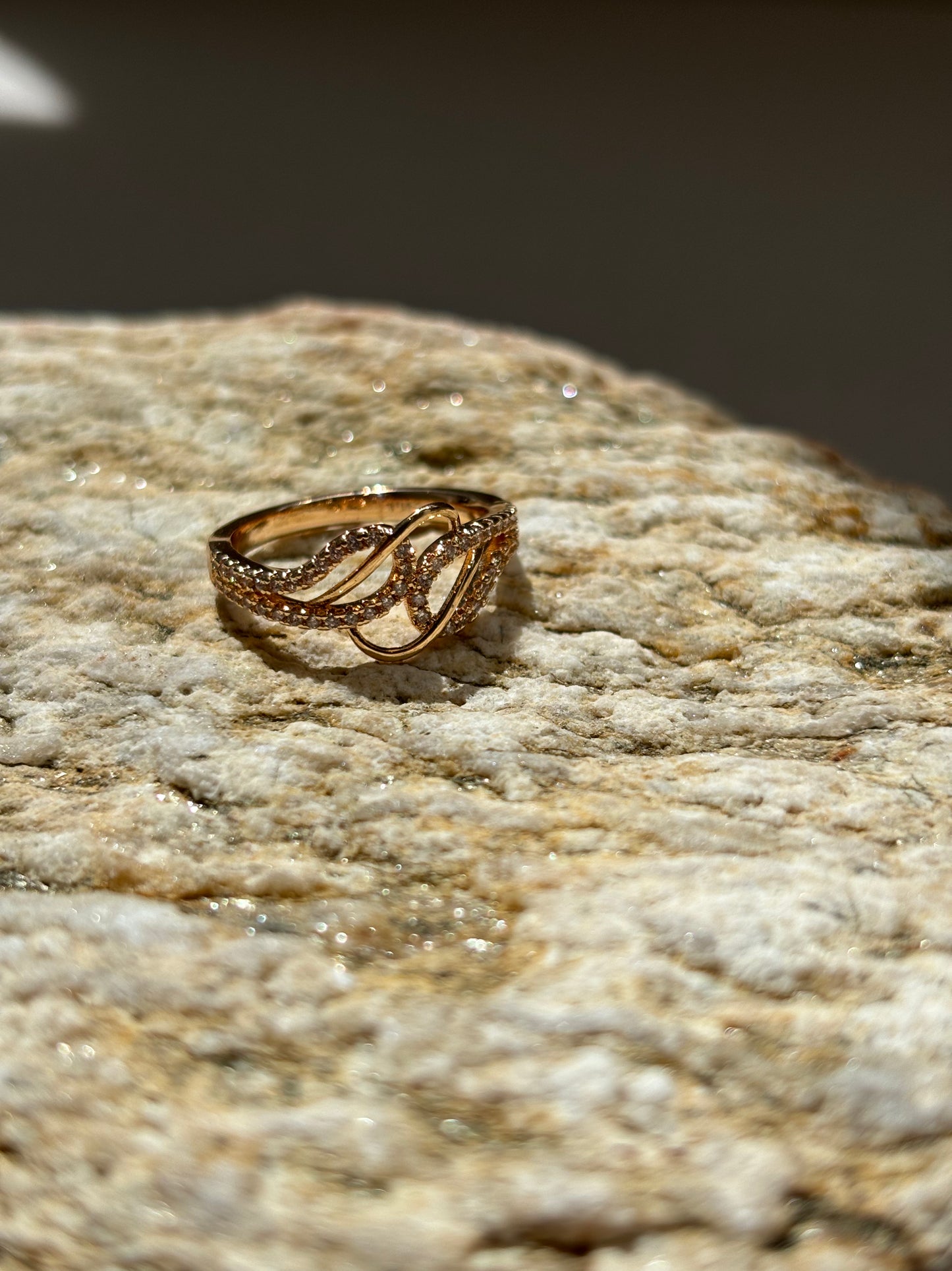 Anillos Variados