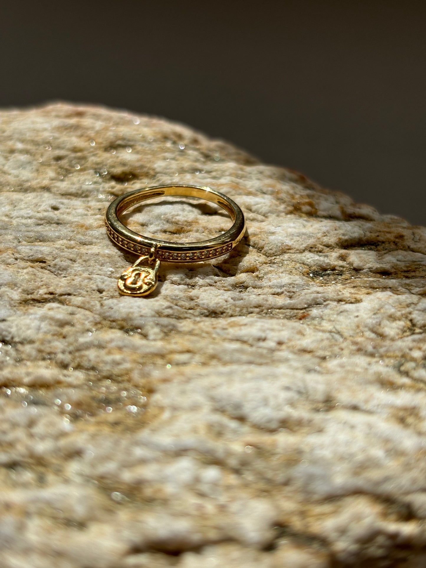 Anillos Variados