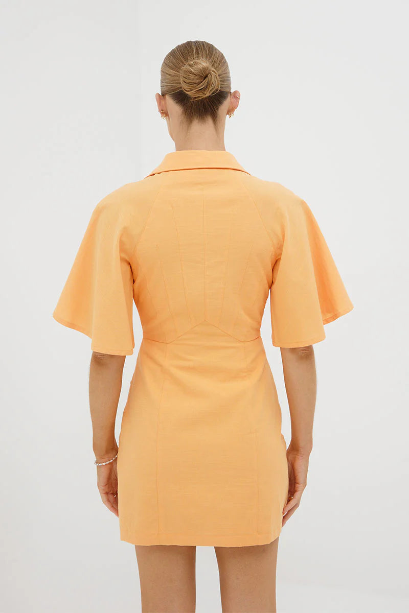 Papaya Mini Dress